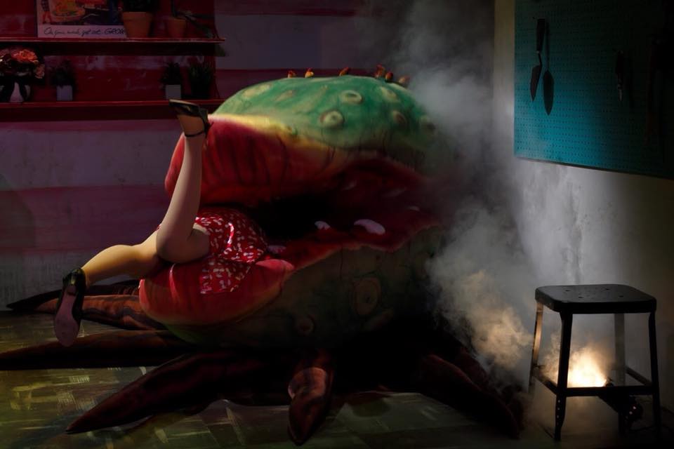 "Little Shop of Horrors" (as Audrey) Photo Credit: Brendan Dillon